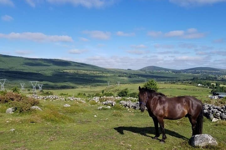 Wicklow Mountain Horse Trekking: Golden Falls Ride from Glendalough photo 2