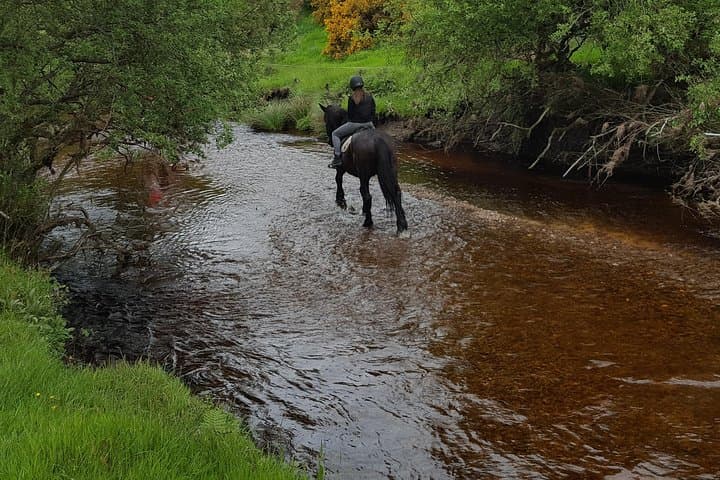Wicklow Mountain Horse Trekking: Golden Falls Ride from Glendalough photo 3