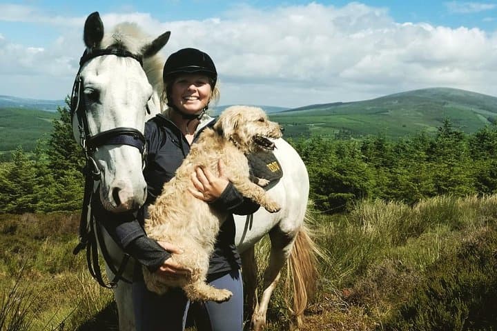 Wicklow Mountain Horse Trekking: Golden Falls Ride from Glendalough photo 4