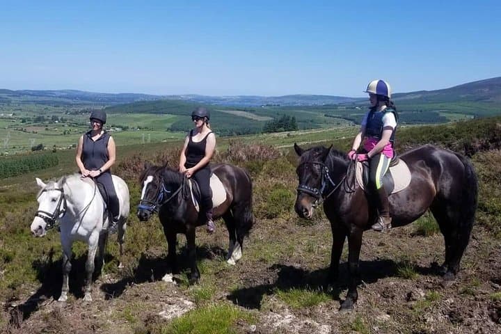 Wicklow Mountain Horse Trekking: Golden Falls Ride from Glendalough photo 5