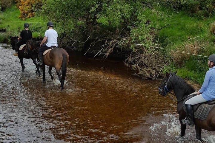 Wicklow Mountain Horse Trekking: Golden Falls Ride from Glendalough photo 6