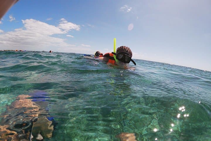 Puerto Morelos Reef Snorkel: National Park Tour with Lunch & Transport photo 2
