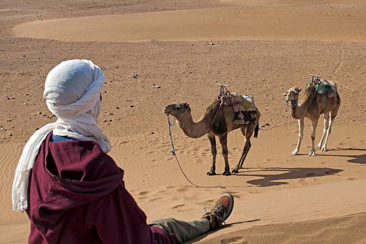 Zagora Desert Overnight: 2-Day Berber Camp & Camel Ride from Marrakech
