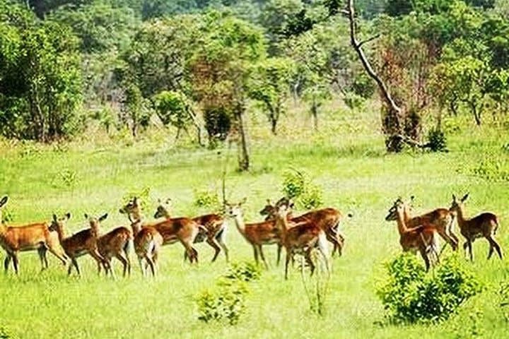 Shai Hills Wildlife Adventure: Half-Day Safari from Accra photo 3