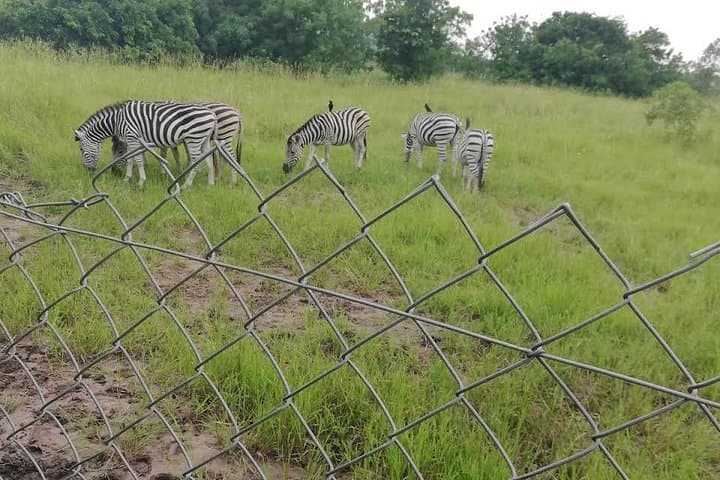 Shai Hills Wildlife Adventure: Half-Day Safari from Accra photo 4