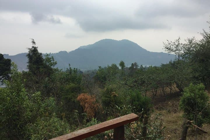 Up-Close on Pacaya: Half-Day Volcano Hike From Antigua photo 2