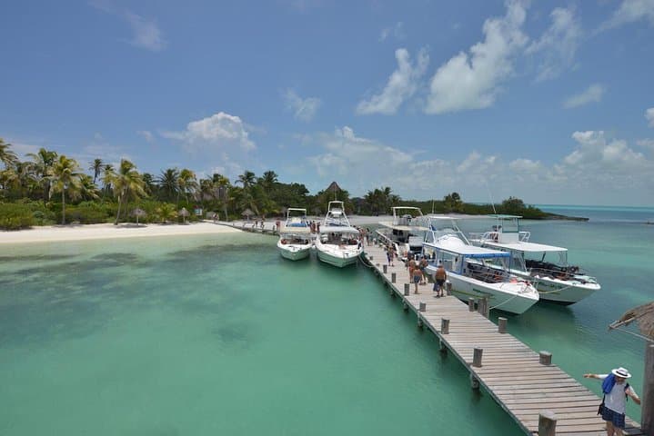 Isla Contoy & Ixlaché Reef Day Trip from Playa del Carmen — Snorkel, Birdwatch & Isla Mujeres photo 4