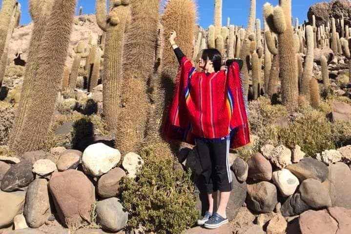 3-Day Private Tour: Uyuni Salt Flats & Colorful Lagoons photo 6
