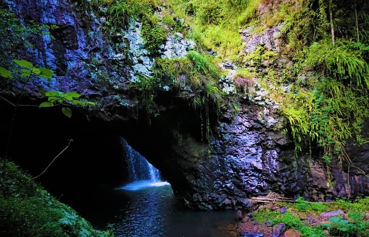 Day-to-Night Gondwana Rainforest Waterfalls & Glow Worm Tour from Gold Coast photo 6