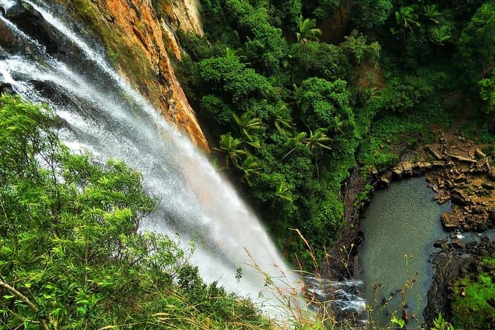Day-to-Night Gondwana Rainforest Waterfalls & Glow Worm Tour from Gold Coast
