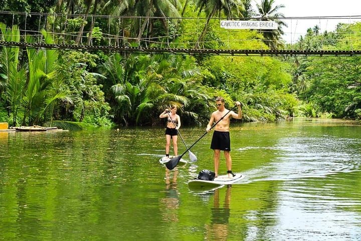 Full-Day Abatan River Stand-Up Paddle and Mangrove Lunch — Bohol