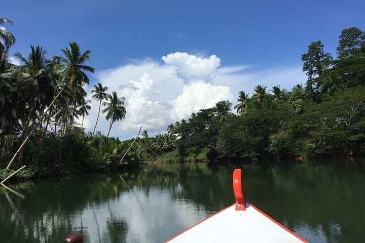 Full-Day Abatan River Stand-Up Paddle and Mangrove Lunch — Bohol photo 4
