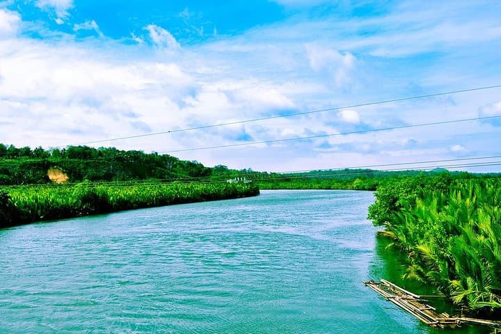 Full-Day Abatan River Stand-Up Paddle and Mangrove Lunch — Bohol photo 5