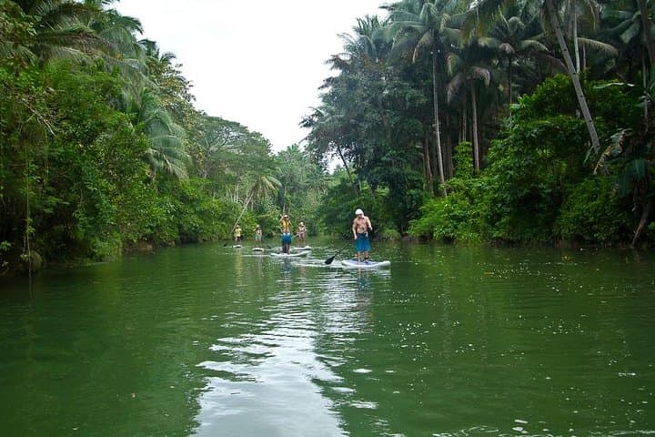 Full-Day Abatan River Stand-Up Paddle and Mangrove Lunch — Bohol photo 6
