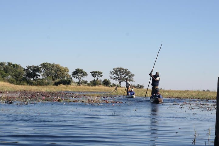 Mokoro Safari in the Okavango Delta: 3-Night Canoe Expedition from Maun