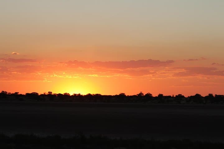 Mokoro Safari in the Okavango Delta: 3-Night Canoe Expedition from Maun photo 2