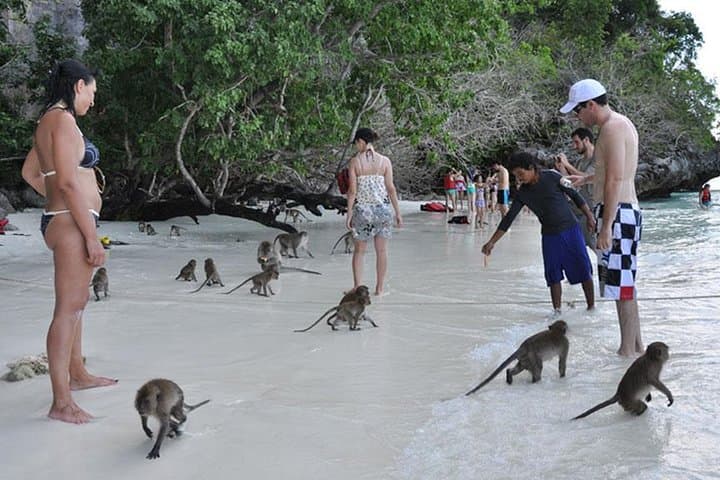 Phi Phi Full-Day Speedboat Tour: Maya Bay, Bamboo Island & Shark Point photo 4