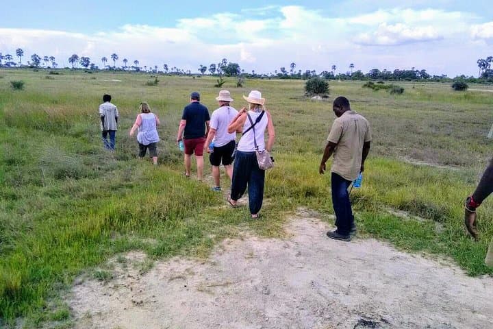 Mokoro Safari in the Okavango Delta: 3-Night Canoe Expedition from Maun photo 5