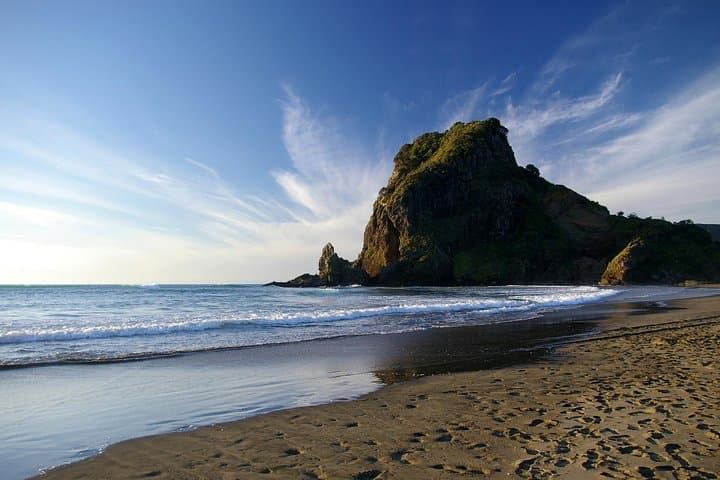 Piha Waitakere Rainforest and West Coast Wine Tour from Auckland photo 2