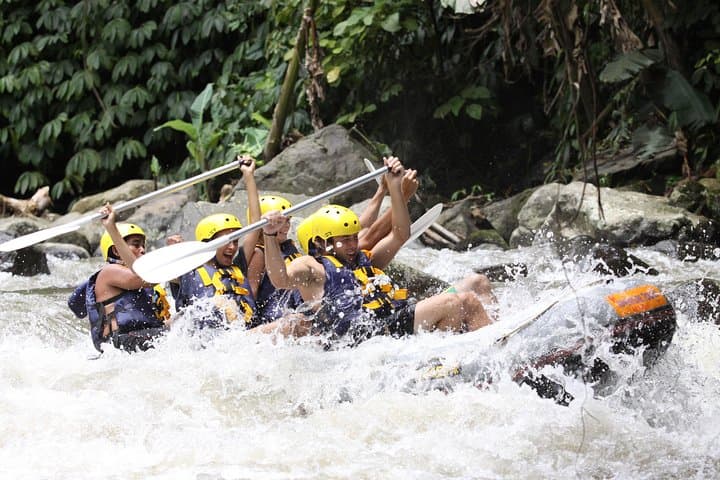 Ubud Ayung River Rafting: 3-Hour Whitewater Adventure with Lunch & Transfers photo 3