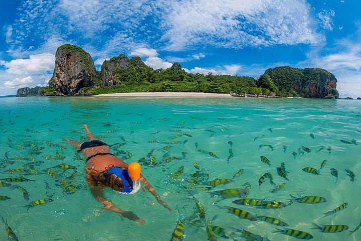 Phi Phi Full-Day Speedboat Tour: Maya Bay, Bamboo Island & Shark Point