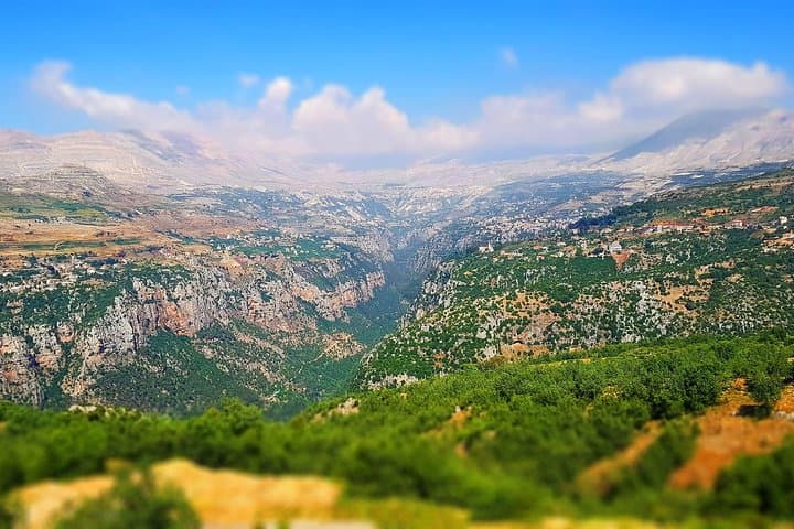 Qadisha Valley, Bcharre & Cedars of God: Day Tour from Beirut photo 3