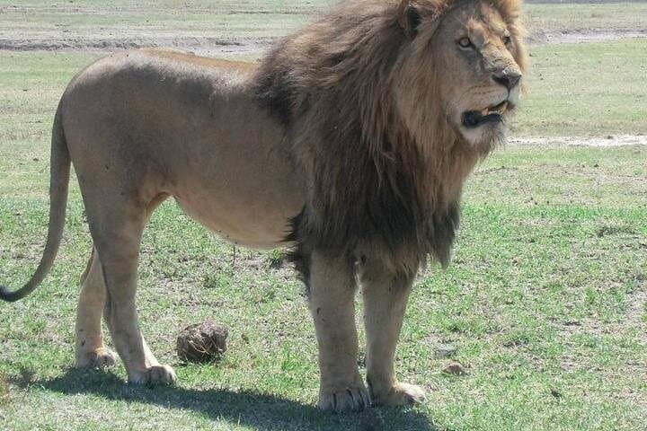 5-Day Budget Camping Safari to See the Great Migration in Tanzania photo 4