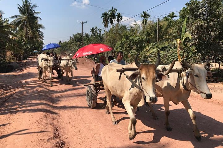 Ox Cart Ride through Rural Cambodia: Siem Reap Countryside Tour photo 2