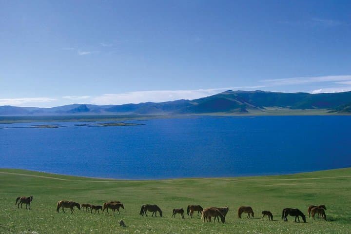 Two-Day Khustai & Terelj Adventure: Takhi, Genghis Khan Statue and Horseback from Ulaanbaatar photo 2