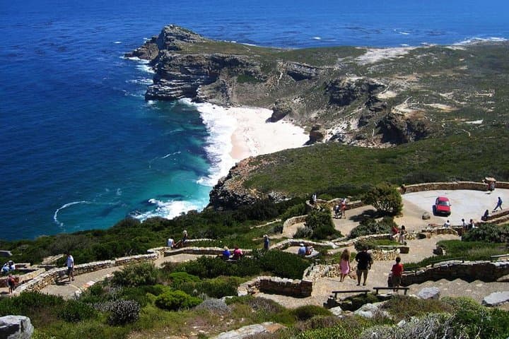Cape Peninsula Full-Day Tour from Cape Town: Chapman's Peak, Cape Point & Boulders Beach photo 6