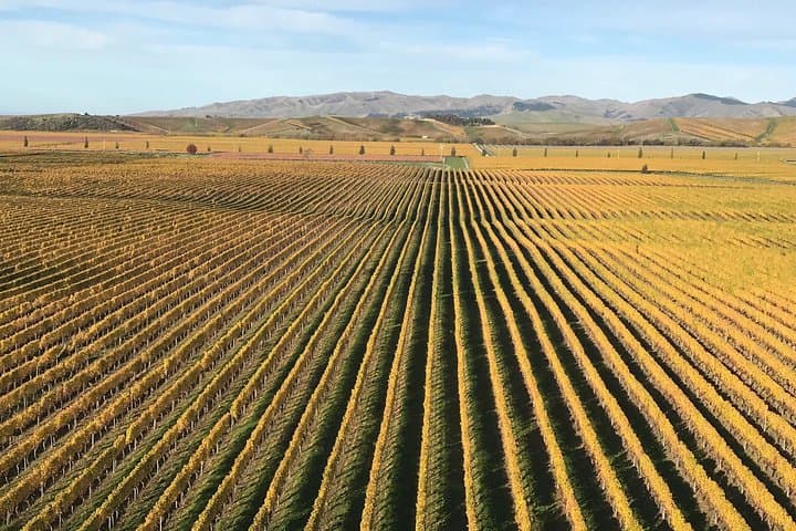 Marlborough Wine Gourmet & Scenic Delight Tour from Blenheim photo 6