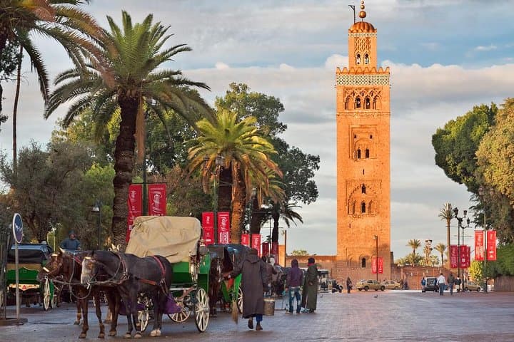 Half-Day Private Historical and Cultural Tour of Marrakech
