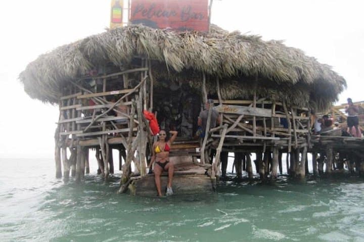 Appleton Estate Rum and Pelican Bar Sunset Tour from Montego Bay photo 5