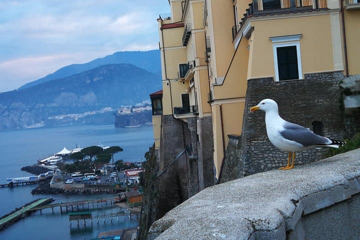 Full-Day Minivan Tour to Positano, Sorrento & Pompeii from Naples photo 5
