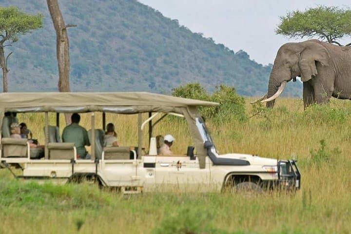 Cape Town to Aquila Full-Day Safari — Big Five Game Drive & Ceres Fruit Valley photo 2