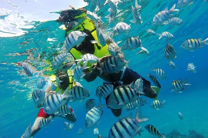 Sosua Snorkeling: Two Reefs and a Beach Day in the Dominican Republic photo 3