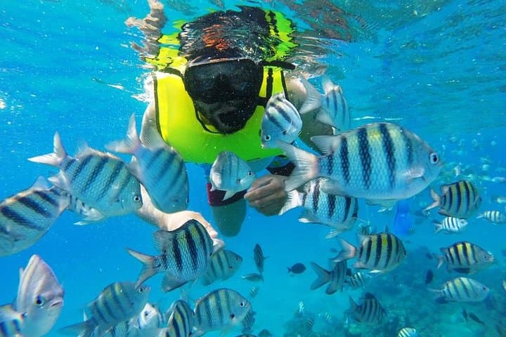 Sosua Snorkeling: Two Reefs and a Beach Day in the Dominican Republic