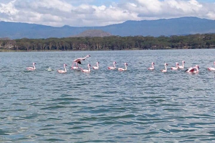 Cycle and Walk Among Wildlife: Day Trip to Lake Naivasha & Hell's Gate from Nairobi photo 3