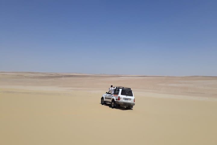 Fayoum Oasis Sand-Boarding & Wadi El Rayan Day Trip from Cairo photo 3
