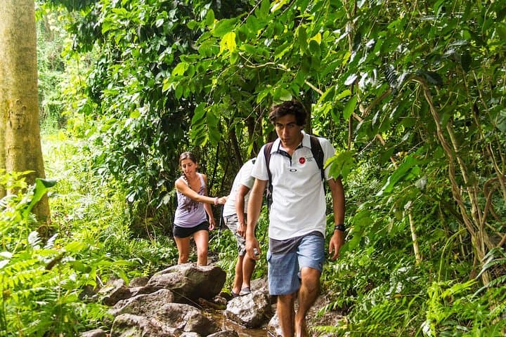 Oahu Friendly Hiking Experience: Waikiki Waterfalls, Lighthouse Views & Native Flora photo 3
