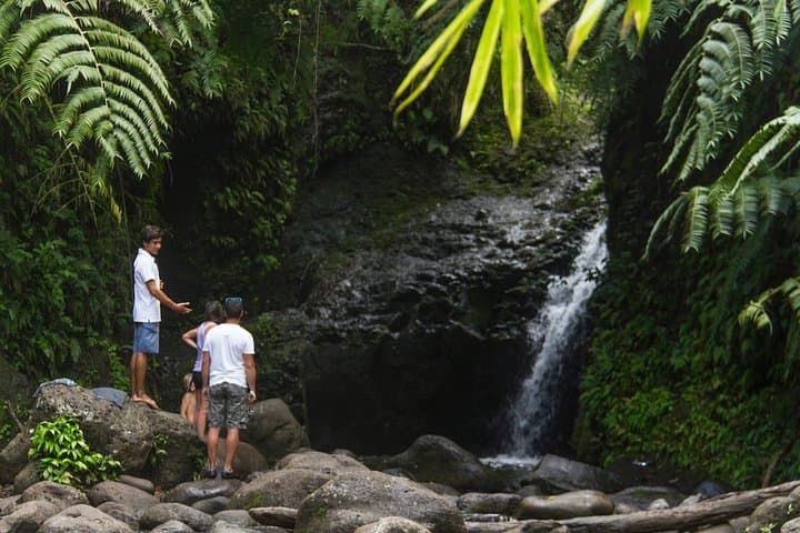 Oahu Friendly Hiking Experience: Waikiki Waterfalls, Lighthouse Views & Native Flora