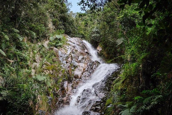 La Catedral Prison Trek: Medellín Jungle Hike with Waterfall & History photo 2