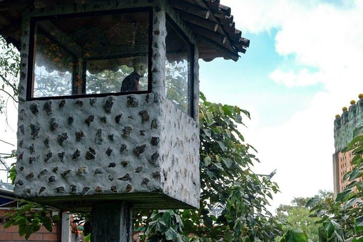 La Catedral Prison Trek: Medellín Jungle Hike with Waterfall & History photo 4