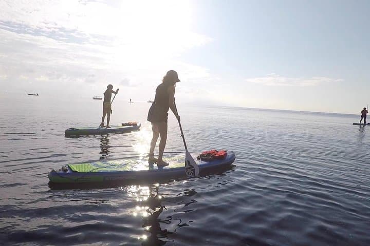 Santorini Stand-Up Paddle and Snorkel: Caldera Cliffs & Hidden Cove SUP Tour photo 5