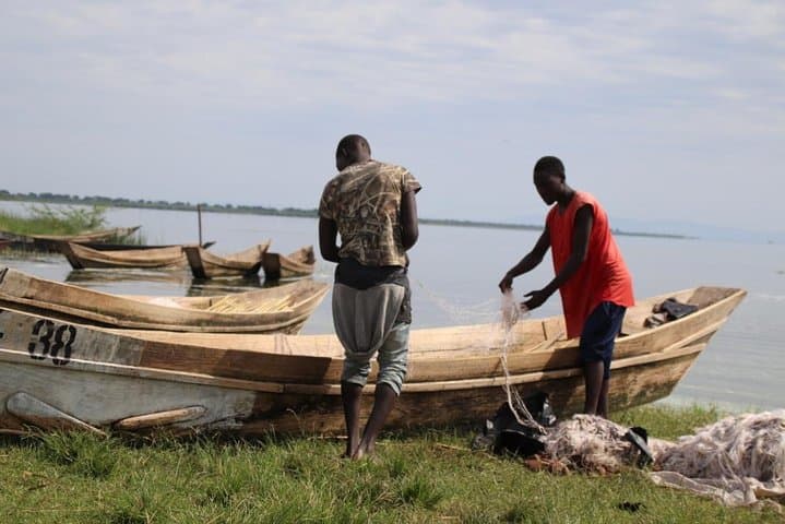 5-Day Bwindi Gorillas, Kazinga Game Drives & Kalinzu Chimp Trek Safari photo 4