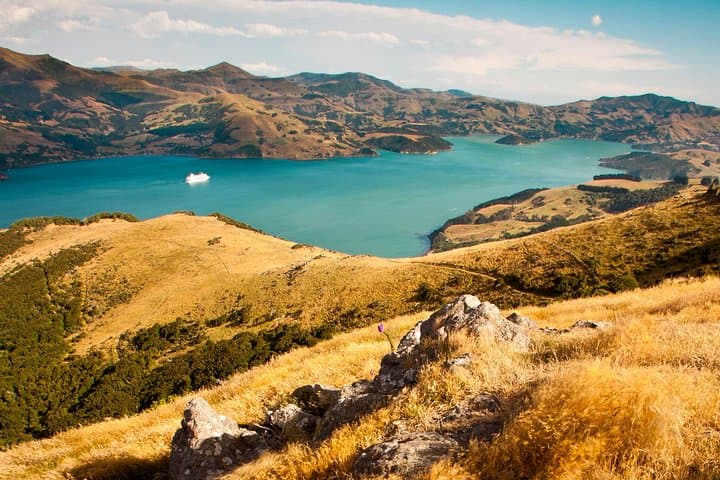 Private Day Scenic Excursion to Akaroa & Christchurch from Lyttelton