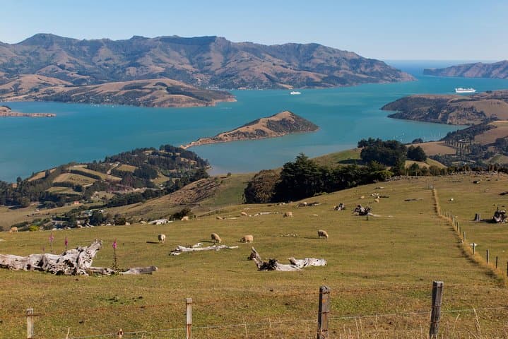 Private Day Scenic Excursion to Akaroa & Christchurch from Lyttelton photo 6