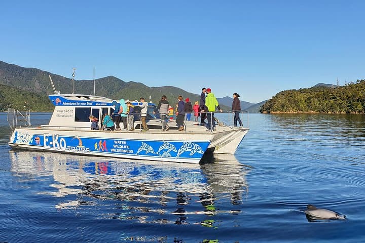 Exploring Marlborough Sounds: Motuara Wildlife Sanctuary and Dolphin Cruise Experience photo 2
