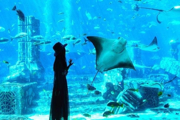 Dubai Ramadan Desert Safari with Iftar, Palm Jumeirah & Lost Chambers Aquarium photo 2