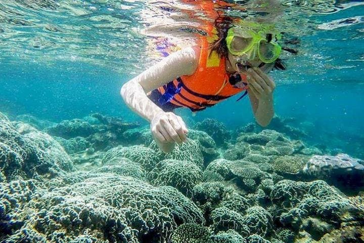 Mui Ne to Vinh Hy Bay: Snorkeling & Fishing Day Trip
